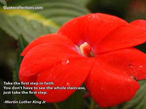 martin_luther_king_jr_quotes Quotes 5
